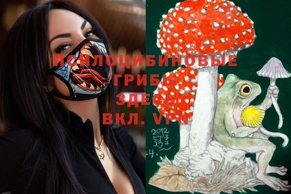 МДМА Белокуриха